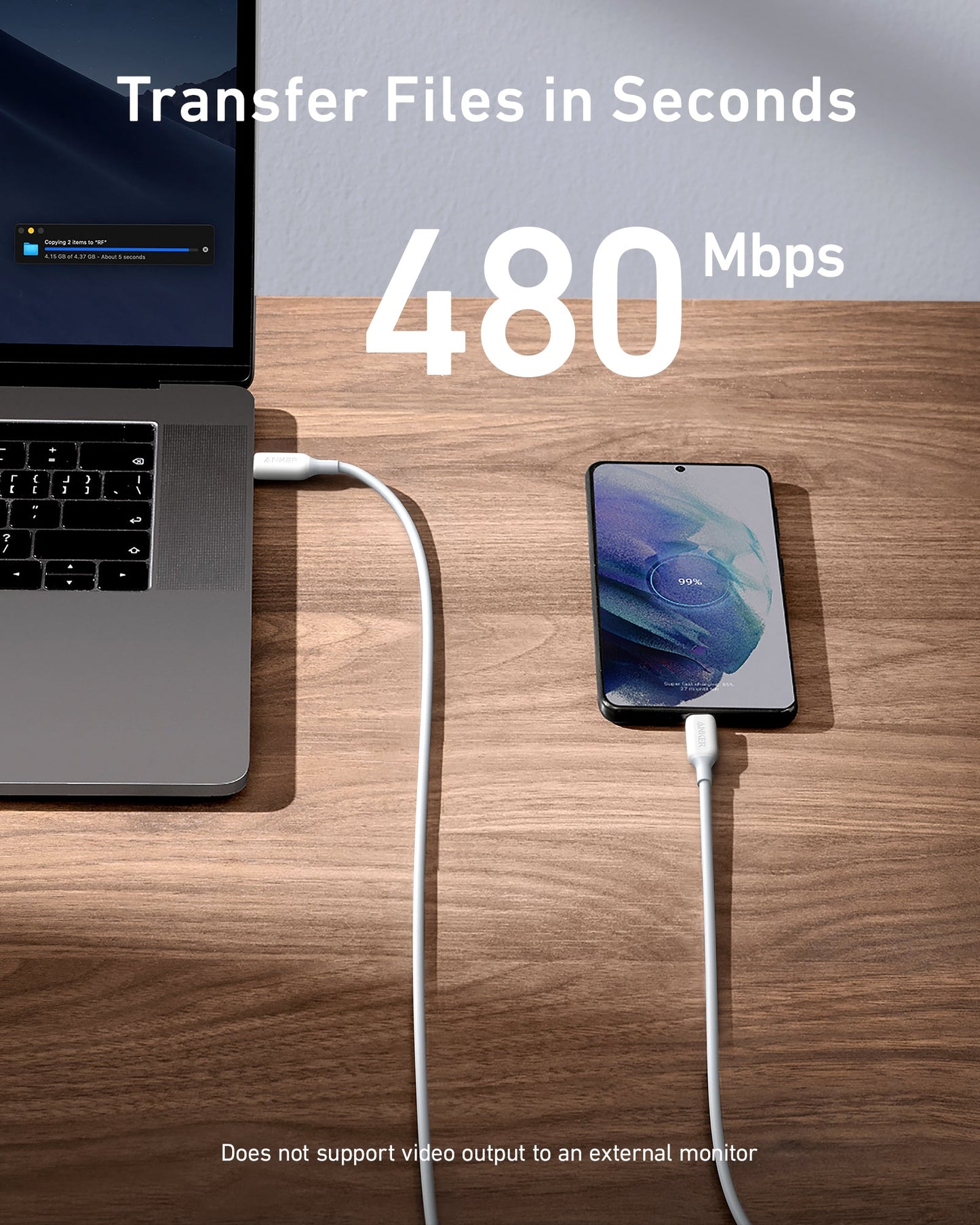 Anker PowerLine III Câble de charge USB-C vers USB-C 2.0