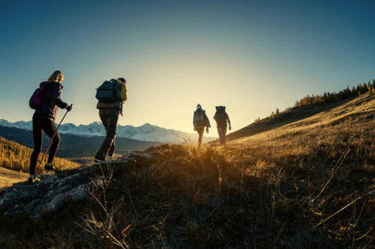 10 Éléments Essentiels pour la Randonnée à Apporter à Votre Prochaine Aventure