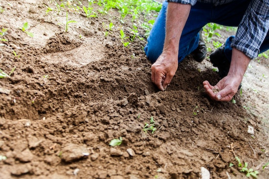 Considérations sur Comment Vivre Hors-Réseau