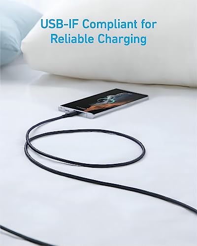 Anker 310 USB-A to USB-C Cable (6 ft Braided)