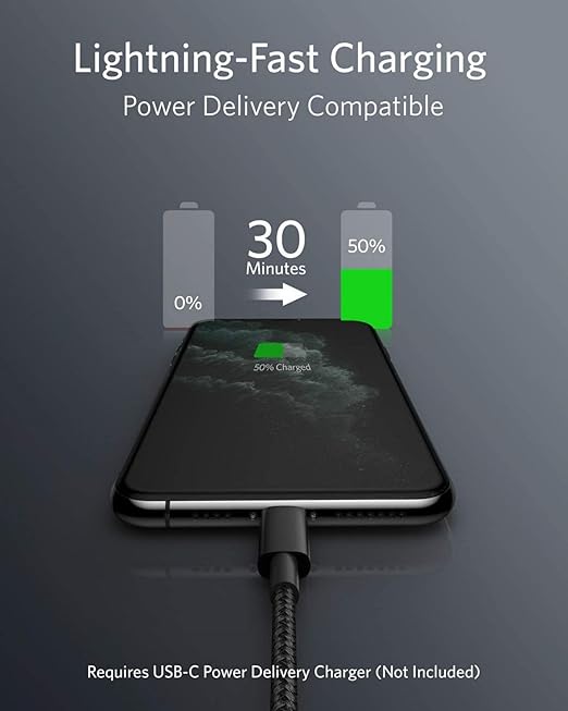 Câble USB C vers Lightning [1m, certifié Apple MFi]